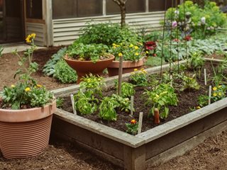 Raised Bed Garden Design: How To Layout & Build | Garden Desi