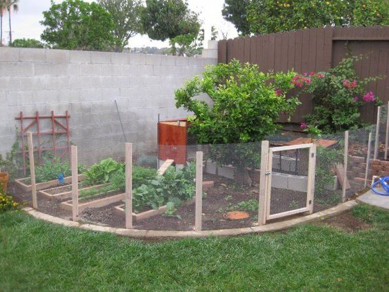 Keepin' Critters Out: Garden Fence Ideas | Barefoot Garden Desi