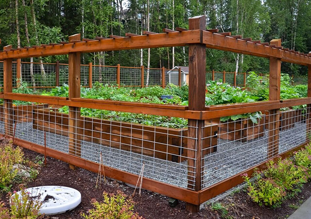 10 Beautiful and Cheap Garden Fence Ideas for Privacy - Green Gold .