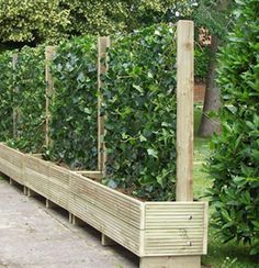 31 Natural fence ideas | natural fence, fence, garden fenci