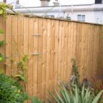 Five Ways to Hide a Fence | BBC Gardeners World Magazi