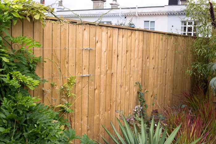 Five Ways to Hide a Fence | BBC Gardeners World Magazi