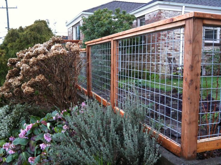 10 Wire Garden Fencing ideas - Simphome | Fence design, Backyard .