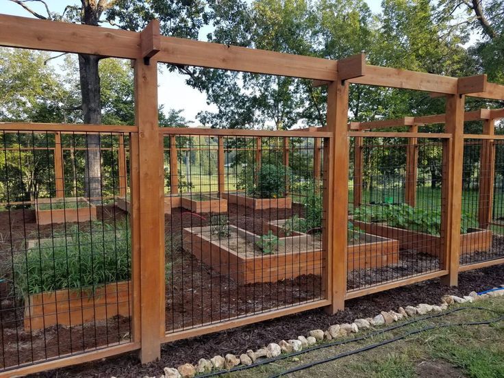 Keepin' Critters Out: Garden Fence Ideas | Barefoot Garden Desi