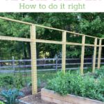 Fencing a Vegetable Garden: Options and Ide