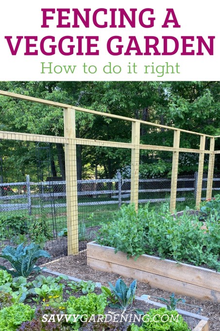 Fencing a Vegetable Garden: Options and Ide