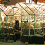 Harper's Garden adds greenhouses for outdoor dining | PhillyVoi