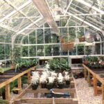 Garden Under Glass Greenhouse Distributor: Homepa