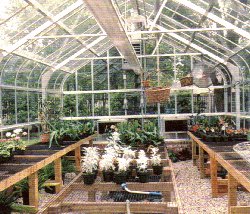 Garden Under Glass Greenhouse Distributor: Homepa