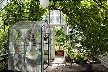 Amazon.com : Greenhouse - Walk in Greenhouse with 8 Sturdy Shelves .