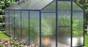 VEIKOUS 6 ft. W x 10 ft. D Polycarbonate Greenhouse For Outdoors .