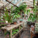Greenhouses: A World of Natural Beauty | Classic garden, Garden .