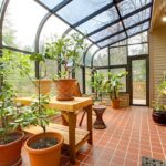 Best Things To Grow In Your Greenhouse – Forbes Ho