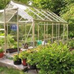 Greenhouses: Pros & Cons - Garden Weas