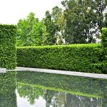 Modern Garden Design | Modern Gardens and the Landsca
