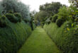 Hardscaping 101: Hedges - Gardenis