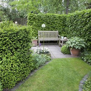 Suburban Gardens and Landscaping Ideas with Hedges at InstantHed