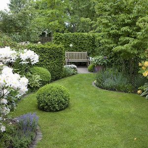 Suburban Gardens and Landscaping Ideas with Hedges at InstantHed