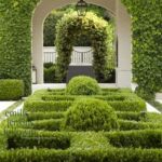 110 Best Garden Hedges ideas | hedges, garden hedges, gard