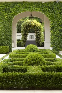 110 Best Garden Hedges ideas | hedges, garden hedges, gard