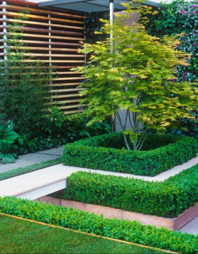 Great ideas for small gardens-Hedge your beds" To add volume to a .