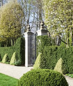 170 Best Hedges ideas in 2024 | hedges, garden design, landscape .