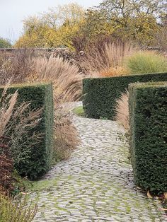 Piet Oudolf garden at Bury Court | Garden hedges, Modern garden .