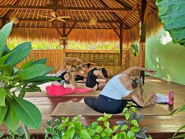 Island Garden Huts & Yoga Sha