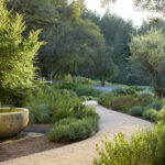 Mediterranean Garden Design Inspiration from the Exper