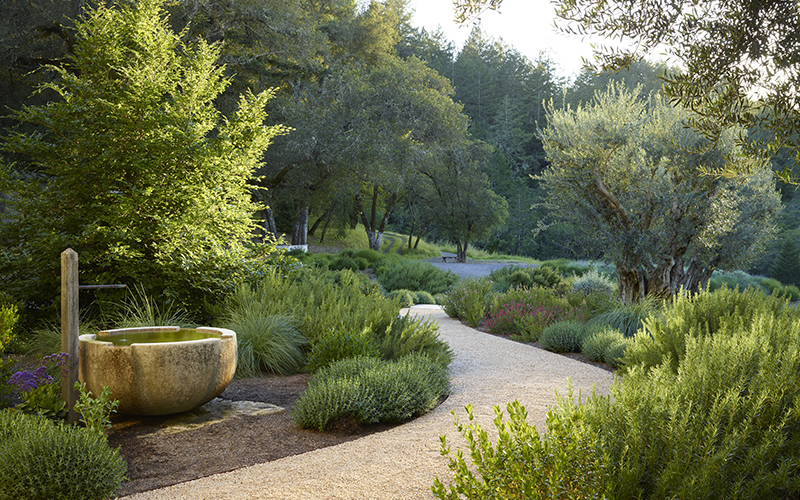 Mediterranean Garden Design Inspiration from the Exper