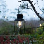 Glitzhome 9.75 in. H Black Metal Wire Solar Powered Outdoor .