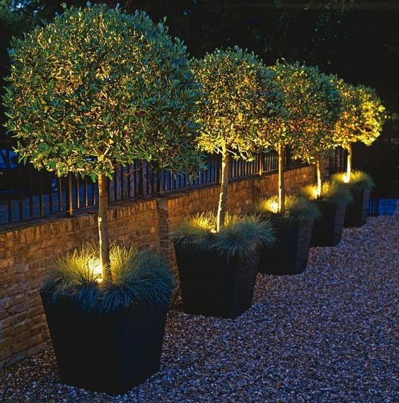 Transform Your Outdoor Space with
Creative Garden Lighting Ideas