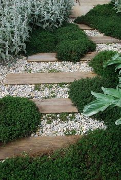 750 Garden Paths ideas | garden paths, garden, garden desi