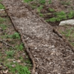 Top 6 Cheap Garden Path Ideas - Backyard Water Gard