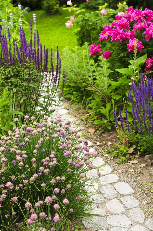 9 Enticing Garden Path Ideas - Town & Country Livi