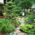 What kind of mulch should I avoid for vegetable garden paths .