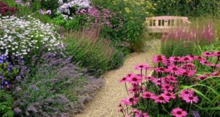 Garden Path ideas and suggestions - Gardening | Learning with Exper