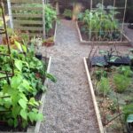 Vegetable Garden Pathways — ediblegardens