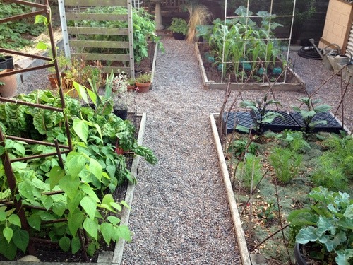 Vegetable Garden Pathways — ediblegardens