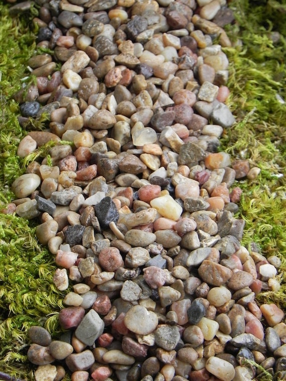 Fairy Garden Pebbles Stones, Pathway Rocks, Terrarium Supply, 8 .