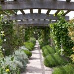 10 Things To Consider When Planning A Pergola - Gardening .