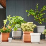 Shopping for Outdoor Planters - The New York Tim