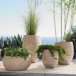 Curved Ficonstone Indoor/Outdoor Planters | West E