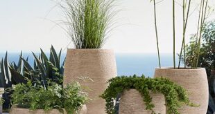 Curved Ficonstone Indoor/Outdoor Planters | West E