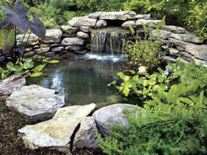 Build a Garden Pond - Katahdin Cedar Log Hom