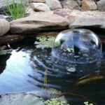 How to Build a Fish Pond or Garden Pond : 6 Steps (with Pictures .