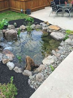 78 Best Small Fish Pond ideas | ponds backyard, water garden, po