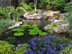 Water Garden Design, Planning, & Maintenance in Alaba