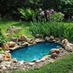 15 Breathtaking Backyard Pond Ideas - Garden Lovers Club | Fish .
