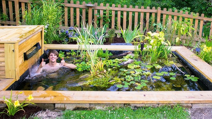 DIY Backyard Garden Pond - YouTu